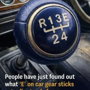 658133559 122184578744798833 541905302365421001 N