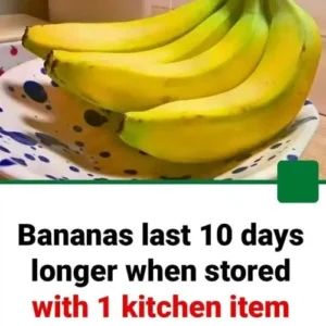 704933223 122330970602026022 7803413795581266511 N