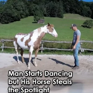 718194181 122188618682598677 2042153321054160194 N