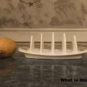 730732270 1540936660966400 4043292897633159193 N