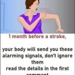 When Changes in Aging May Signal a Mini-Stroke: What to Look For
