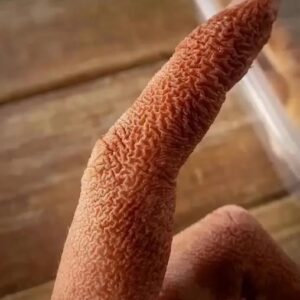Alert: These Are the Warning Signs of Dangero