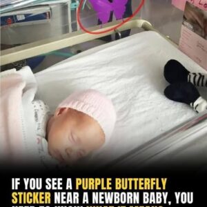 If you see a purple butterfly sticker near a newborn, you need to know what it means