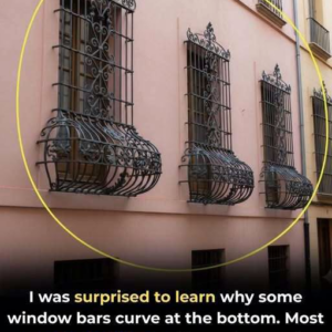 If you see window grills with a curve at the bottom here’s what it means
