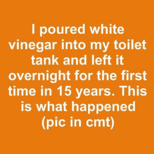 I poured white vinegar into my toilet tank and left it overnight for the first time in 15 years. This is what happened