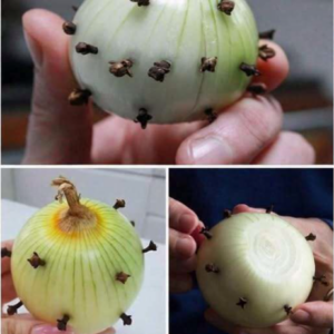 The Traditional Reason People Stick Cloves Into an Onion — And Why It Still Works Today