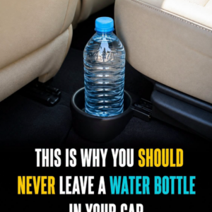 Firefighters Warn: Never Leave a Water Bottle in Your Car — The Hidden Danger That Could Destroy Everything in Minutes