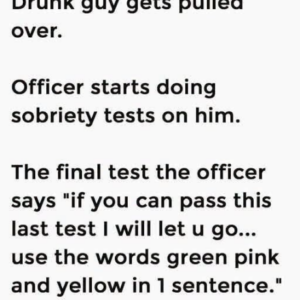 The Hilarious DUI Traffic Stop Joke That Backfired Instantly and Ended in Handcuffs