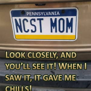This Clever License Plate Has Everyone Talking — Can You Spot Why