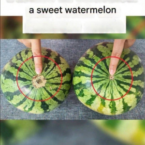 How to Choose a Sweet, Ripe Watermelon: Simple Signs to Look For