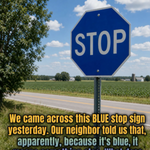 The Meaning Behind a Blue Stop Sign: Why You Might See One, Where It Appears, and What It Really Means for Drivers