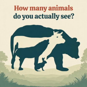 How Many Animals Do You Actually See? The Optical Illusion That Challenges Your Eyes