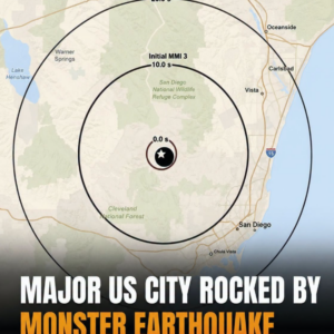 Powerful earthquake strikes San Diego – Locals recount scenes of utter chaos.