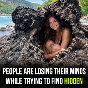 No One Can Find Her Hidden Figure Puzzle Can You Spot Her