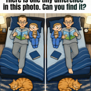 Dad, Baby, and Sleeping Cat: Find 1 Difference.