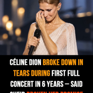 Céline Dion breaks down in tears during first full concert in 6 years