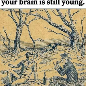 Pig Puzzle