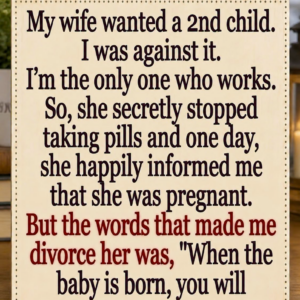 She Secretly Got Pregnant—And It Ended Our Marriage..