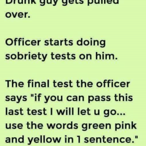 A Drunk Driver Was Pulled Over… Then Something Unexpected Happened