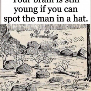 Can You Find the Hidden Man’s Face in This Peaceful Landscape?