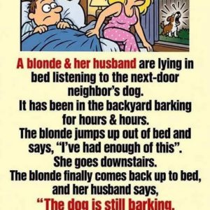 Dealing with a Barking Dog