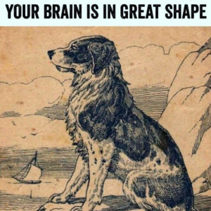 Brain Teaser: Spot the Hidden Man!