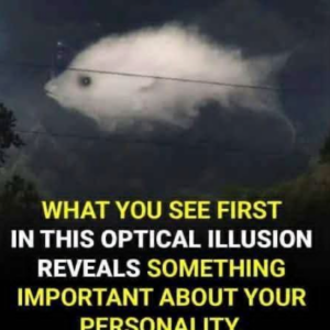 Optical illusion: What you see first reveals something important about your personality
